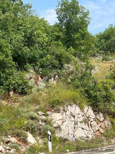 BRESTOVA,POLJOPRIVREDNO ZEMLJIŠTE PRODAJA - 2