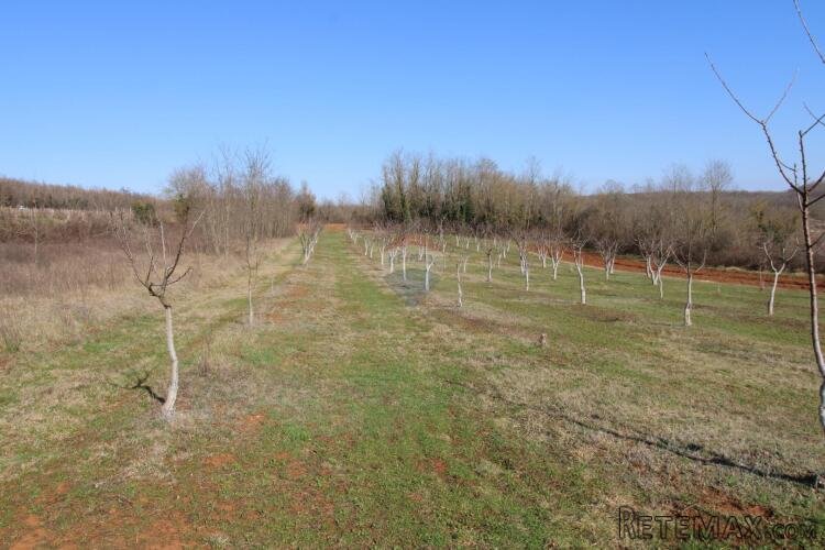 Istra, Vižinada- Građevinsko i poljoprivredno zemljište