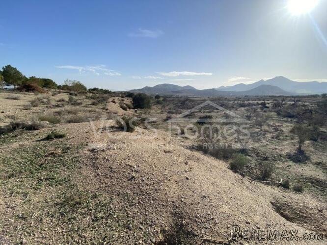 NEW TO VOSS HOMES .... Large plot of Rustic land, 20.. - 3