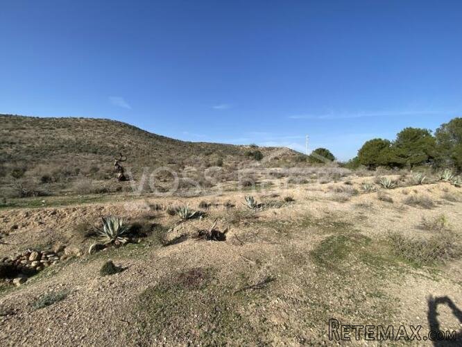NEW TO VOSS HOMES .... Large plot of Rustic land, 20.. - 4
