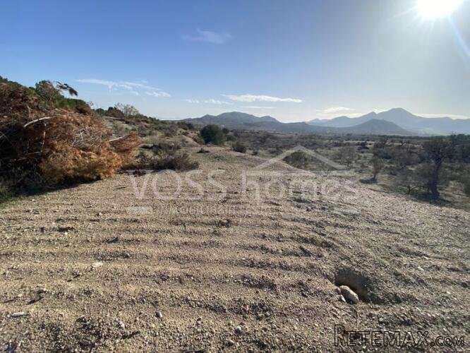 NEW TO VOSS HOMES .... Large plot of Rustic land, 20.. - 5