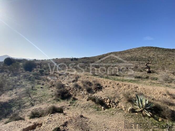 NEW TO VOSS HOMES .... Large plot of Rustic land, 20.. - 6