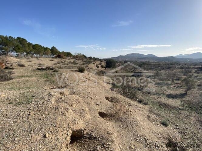 NEW TO VOSS HOMES .... Large plot of Rustic land, 20.. - 7
