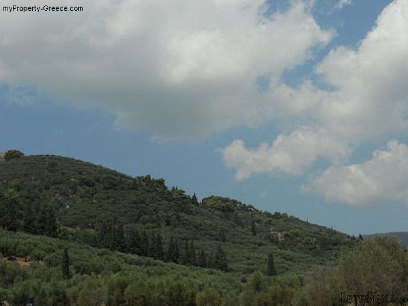 Land in Pantokratoras, Zakynthos