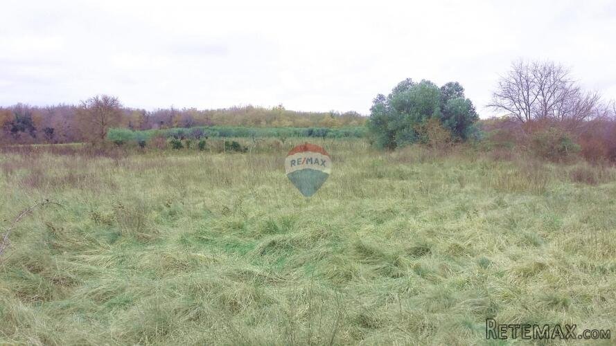 Istra, Umag - građevinsko zemljište za kuće i stanove - 2