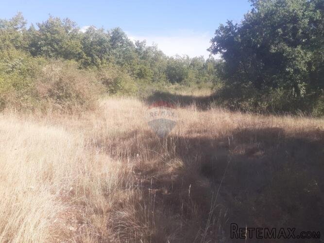 Juršići, Istra, poljoprivredno zemljište 139018 m2 - 3
