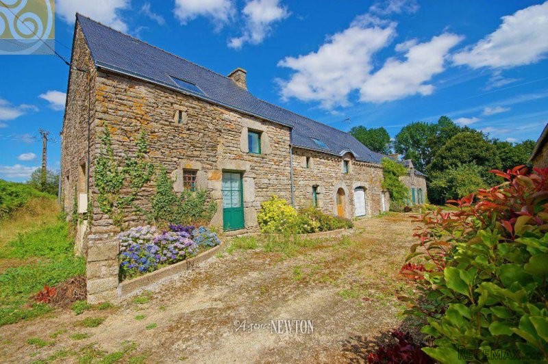 MORBIHAN - Nr JOSSELIN - Exceptional..