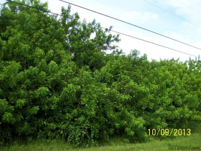 4341 Sw Appleseed Road, Port Saint..
