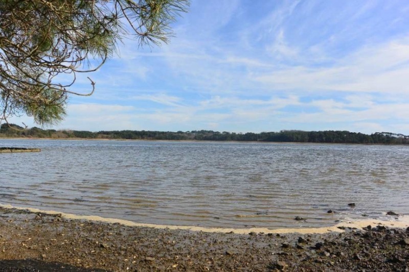 Stunning Views From this Property
