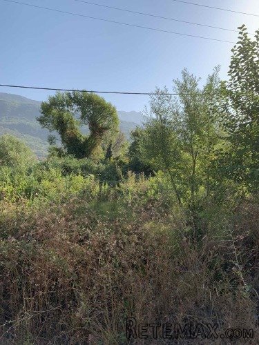 Prodajem zemljiste u Lastvi Grbaljskoj - 2
