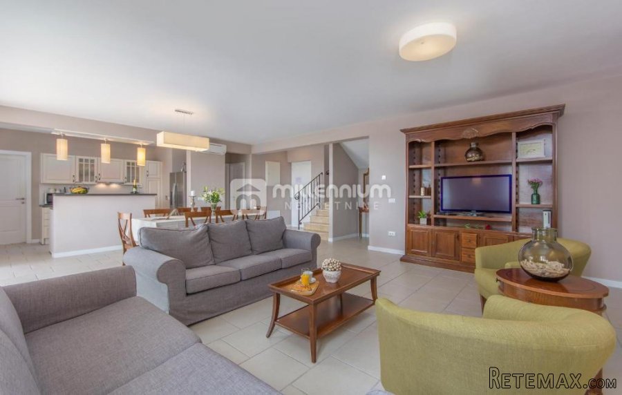Istra, Višnjan, 350m2, samostojeća vila s bazenom - 3