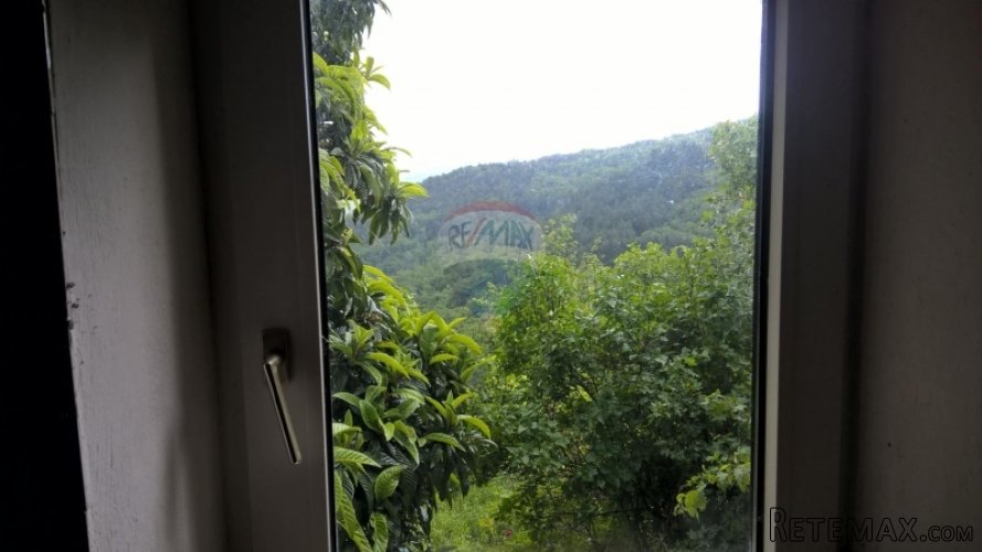 Livade, kuća okružena zelenilom, 80m2 - 5