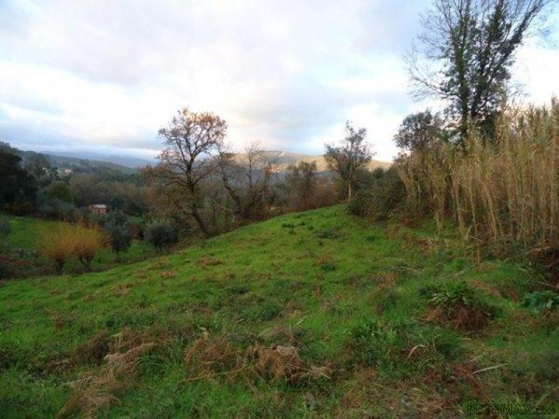 Large Building Plot Near Alvaiazere..