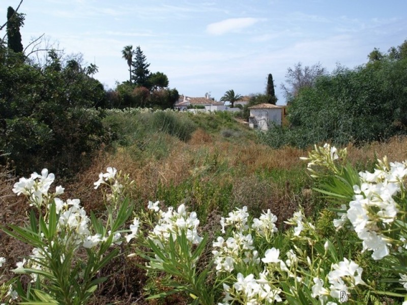 HM2650 - Plot For sale in El Rosario..