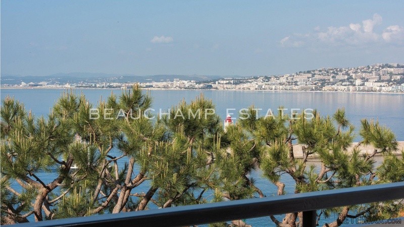 Beautiful apartment entirely renovated - 2