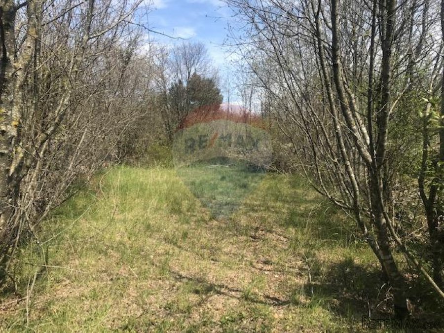 Otok Krk,Garica,poljoprivredno zemljište 3172 m2 - 2