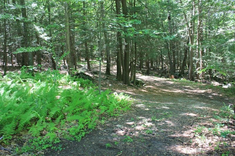 Land For Sale: Lower Trinity Pass Road.. - 2