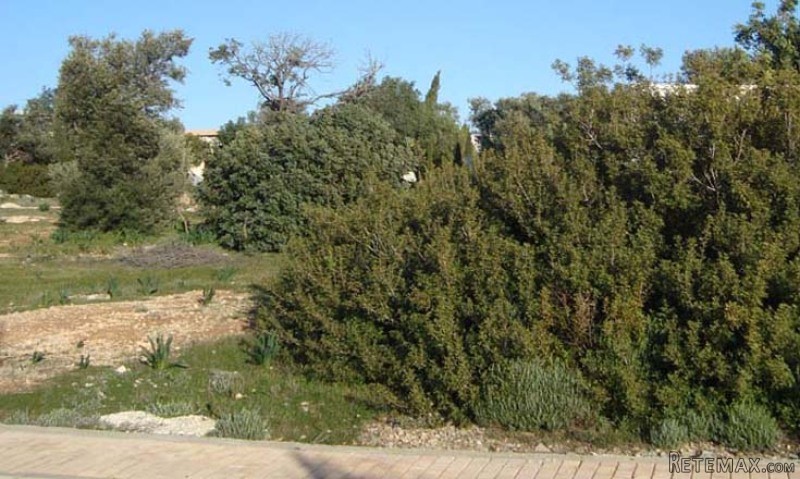 Plot 325, Aphrodite Hills - 2