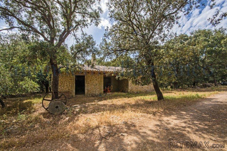 Fabulous large historic Possession dating back to the year.. - 5