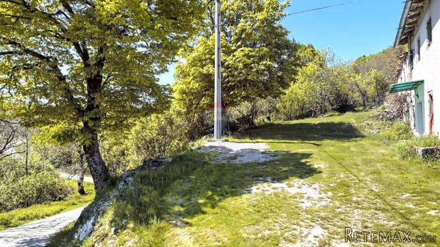 Istra,Slum-Autohtona kuća sa 5 h zemljišta - 3