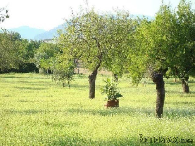 Lovely country property, 150m2 constructed area on a fenced.. - 4