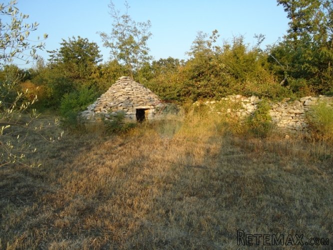 VODNJAN, OKOLICA, MASLINIK SA VIKENDICOM - 4