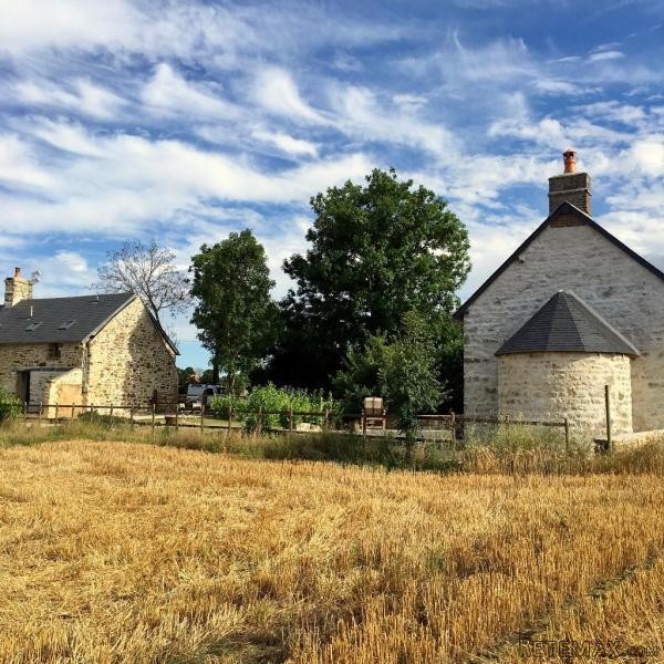 3 Bedroom Detached House For Sale - 2