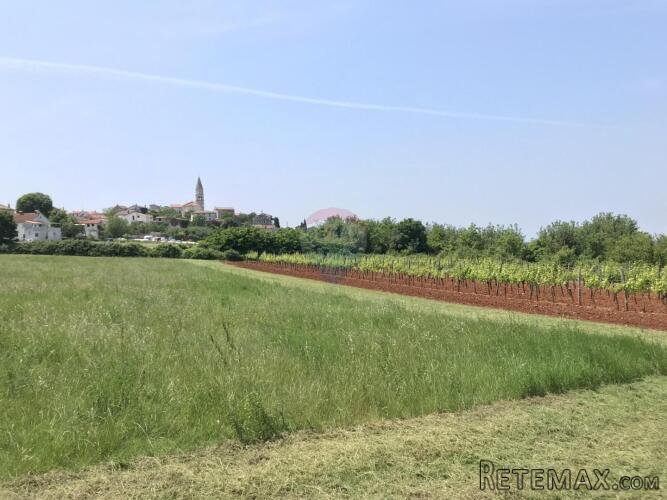 Višnjan - građevinski teren sa pogledom na more