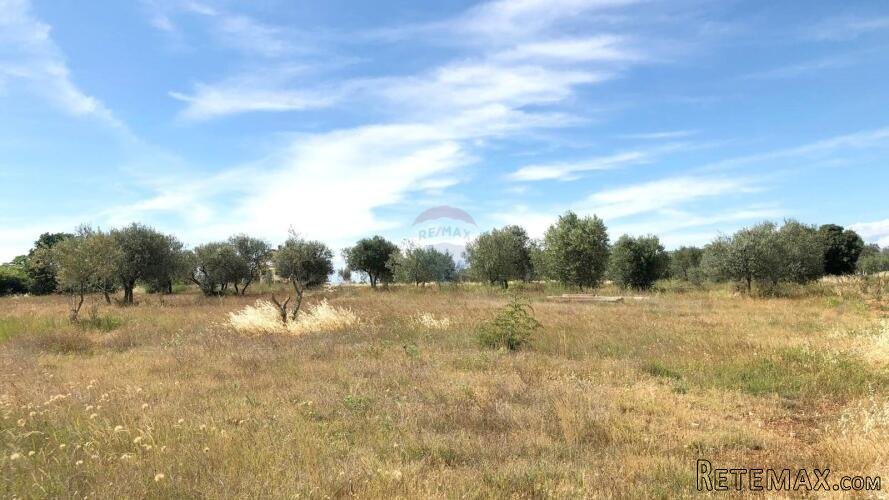 Istra, Umag - stambeno građevinsko zemljište, pogled na more - 2