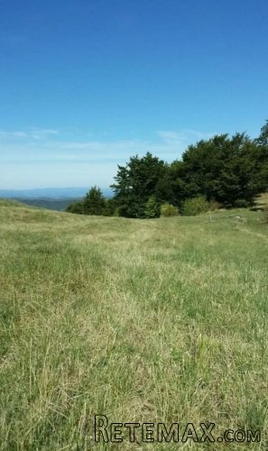 Plac ispod Cigote-Zlatibor