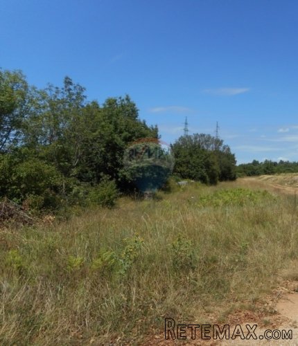 ZELENA ISTRA : PRIMAMLJIVO GRAĐEVINSKO ZEMLJIŠTE - 3