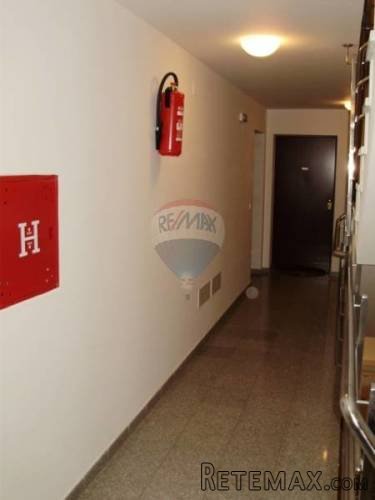APARTMAN U LIŽNJANU, novogradnja - 4