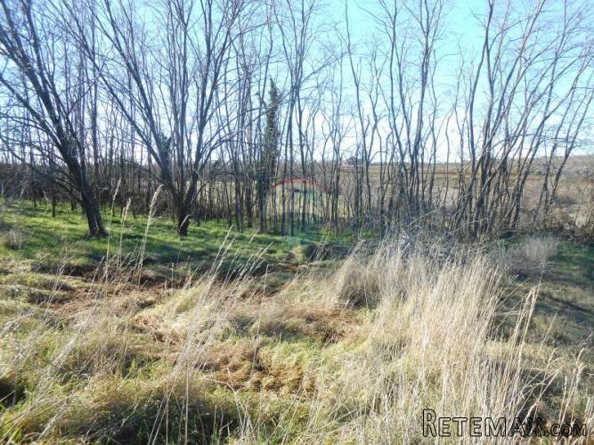 Istra, okolica Vižinade, građevinsko zemljište, 45 Eura... - 2