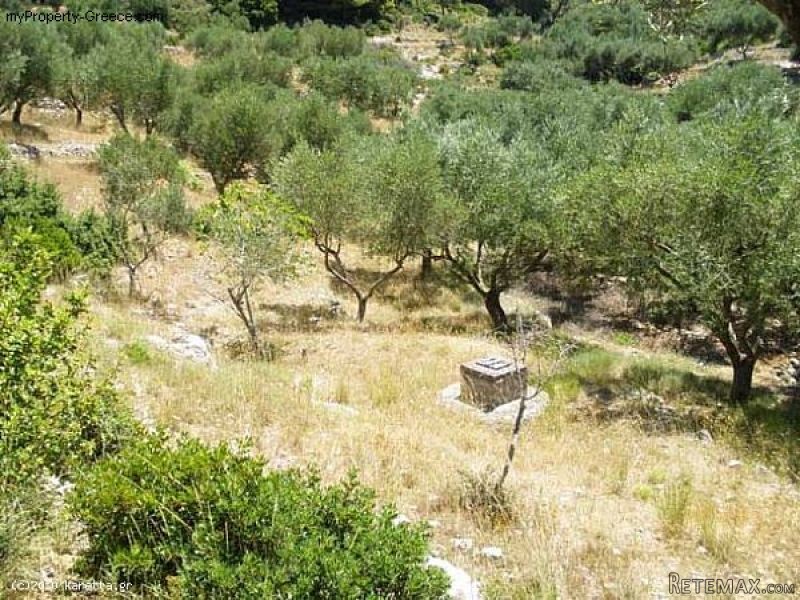 Land - Zakynthos - For Sale - 2