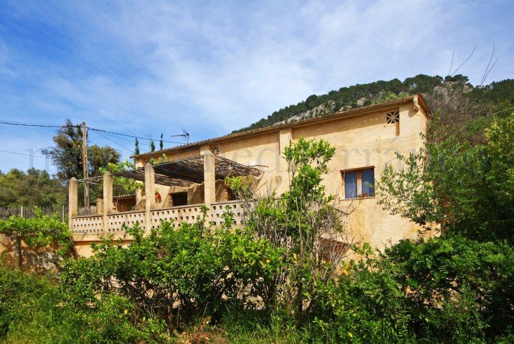 Lovely finca in need of renovation for sale very near to.. - 4
