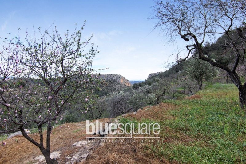 Beautiful plot in Benissa