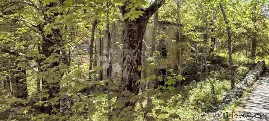 Krmpote,ruševna starina - 3