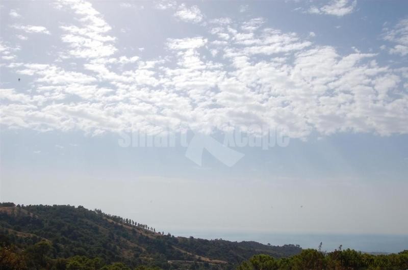Plot/land For Sale In Estepona..