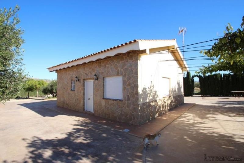 Spectacular villa in Sax (Ref. PV2533) - 2