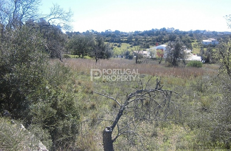 6000m2 Plot In Betunes With Views Of.. - 2