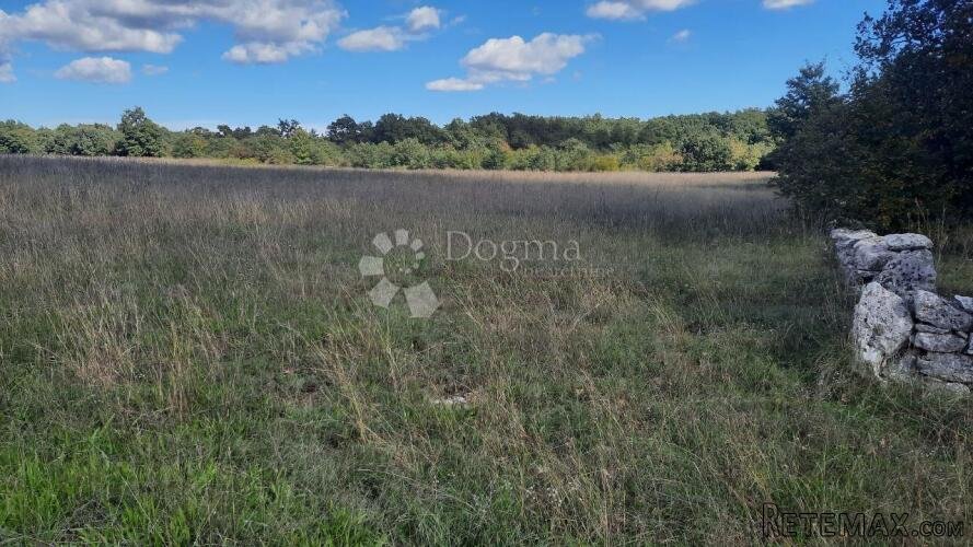PRILIKA! Poljoprivredno zemljište Štokovci 26059m2