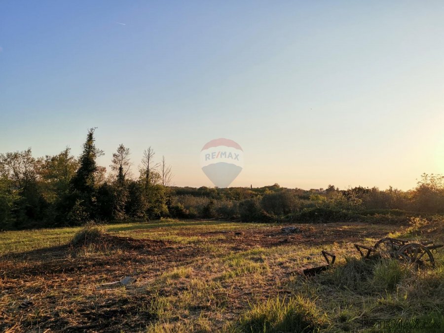 Istra, Brtonigla - Građevinsko zemljište sa blagim pogledom - 2