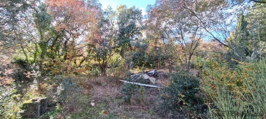 Istra, Peroj, atraktivno vikend zemljište 300m od mora - 2