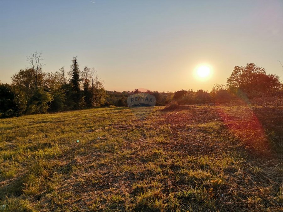 Istra, Brtonigla - Građevinsko zemljište sa blagim pogledom - 4