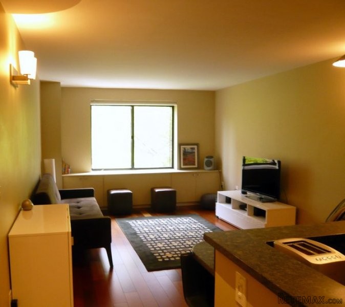 1 Bedroom - Condo - New York State -..