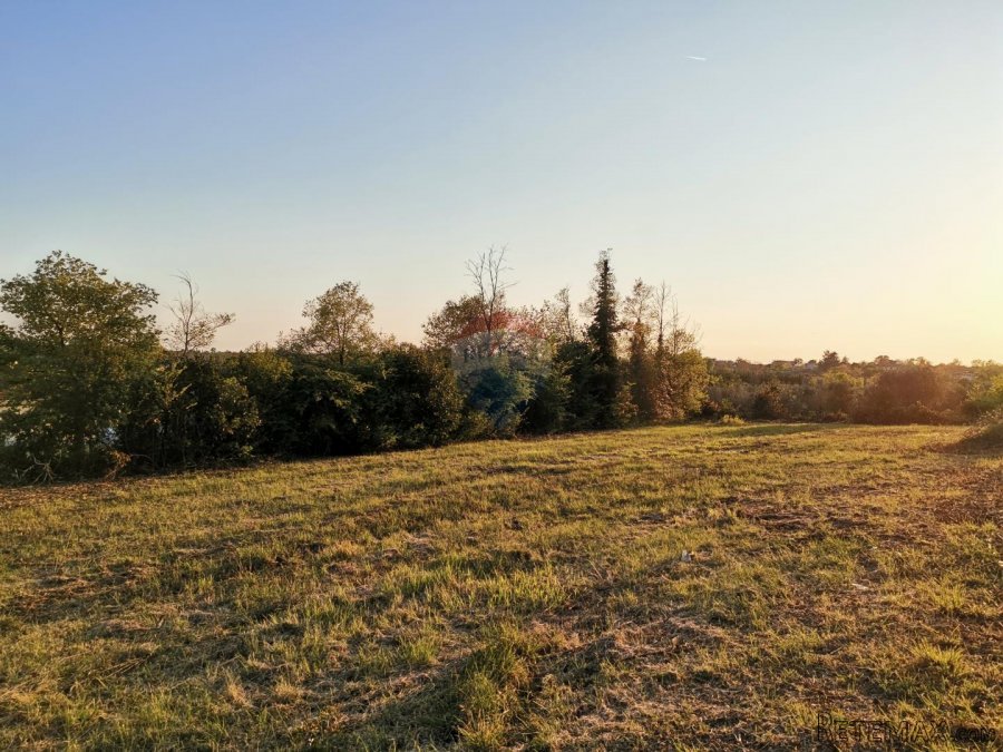 Istra, Brtonigla - Građevinsko zemljište sa blagim pogledom - 5