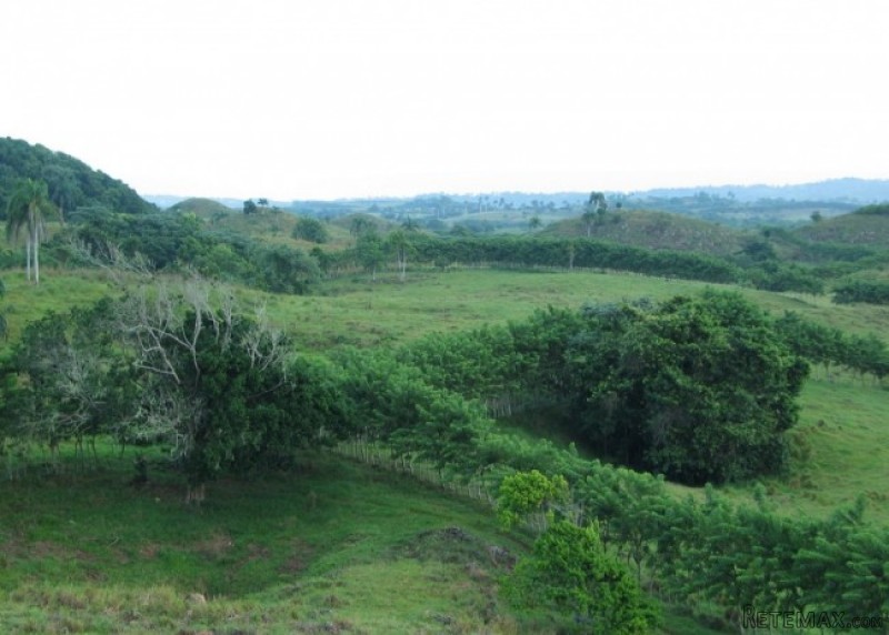 Amazing Caribbean Farm For Sale Near.. - 2