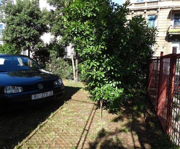 Poslovni prostor blizu Centra s parkingom ! - 2