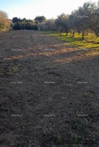 Premantura – građevinsko zemljište 1.793 m² - 2