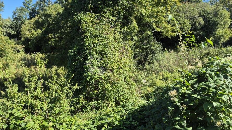 Prodaje se poljoprivredno zemljište površine 1636 m2 u Cukri - 2